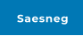 Saesneg