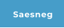 Saesneg