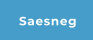Saesneg