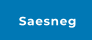 Saesneg