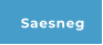 Saesneg